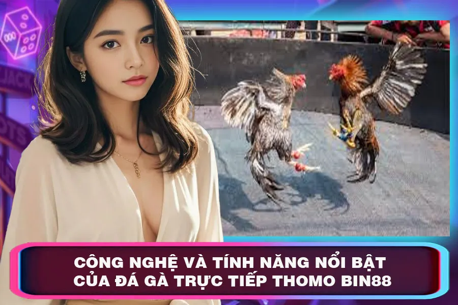 Công Nghệ Và Tính Năng Nổi Bật Của Đá Gà Trực Tiếp Thomo Bin88